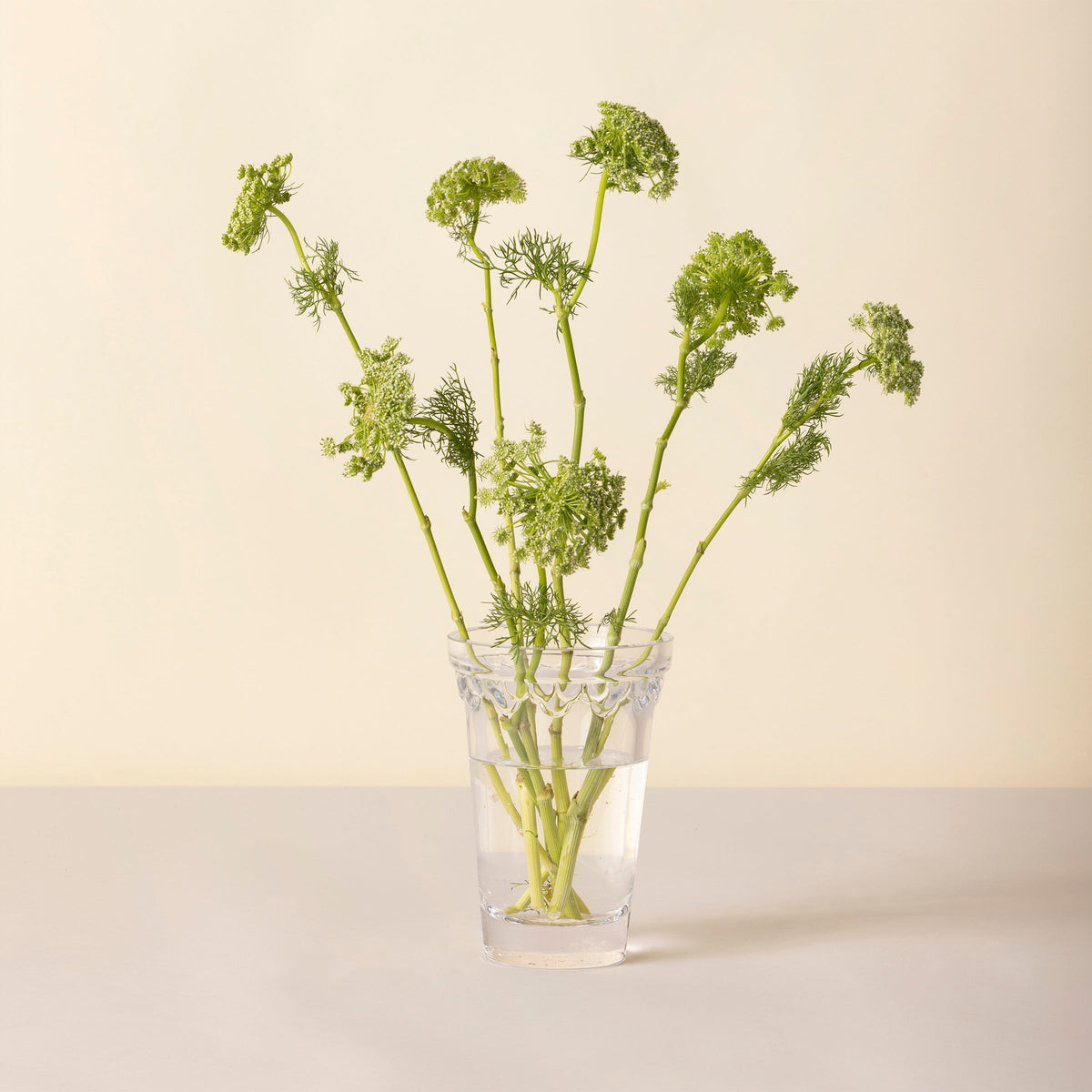 Kobenhavner Small Clear Glass Vase